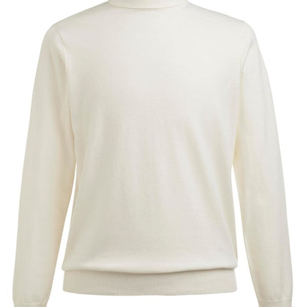 Men's Oslo Rollneck Jumper (BT4568)