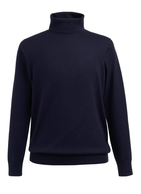 Men's Oslo Rollneck Jumper (BT4568)